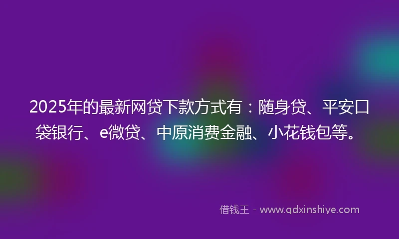 2025年的最新网贷下款方式有：随身贷、平安口袋银行、e微贷、中原消费金融、小花钱包等。