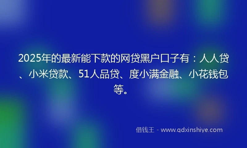 2025年的最新能下款的网贷黑户口子有:人人贷、小米贷款、51人品贷、度小满金融、小花钱包等。