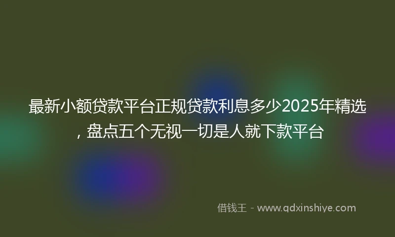 最新小额贷款平台正规贷款利息多少2025年精选，盘点五个无视一切是人就下款平台