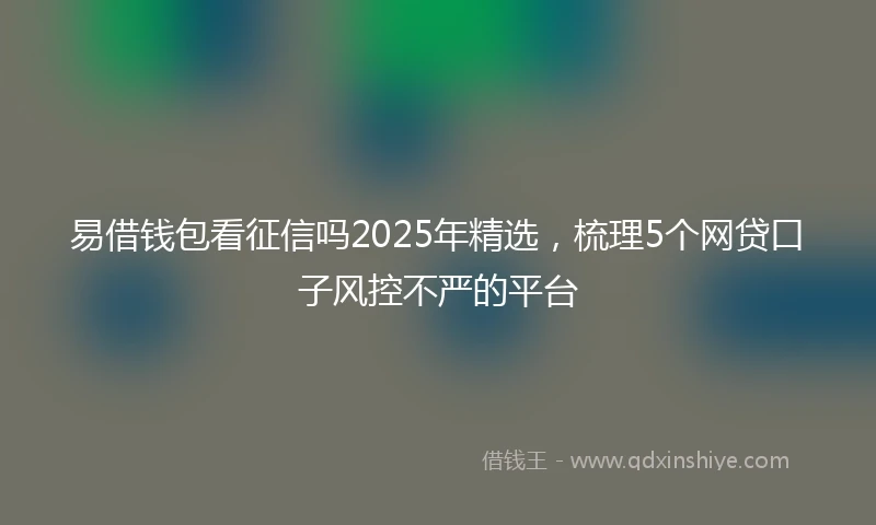 易借钱包看征信吗2025年精选，梳理5个网贷口子风控不严的平台