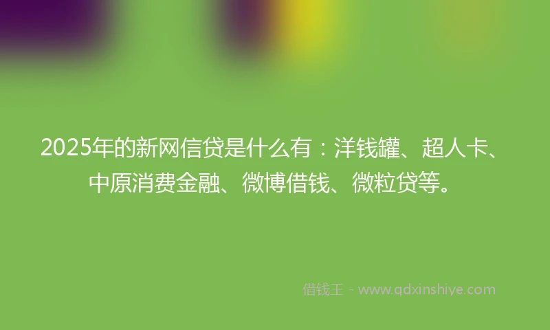2025年的新网信贷是什么有：洋钱罐、超人卡、中原消费金融、微博借钱、微粒贷等。