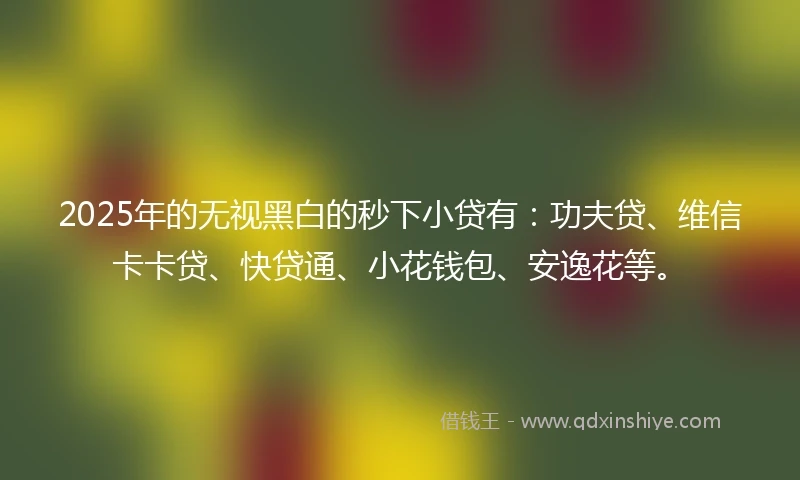 2025年的无视黑白的秒下小贷有：功夫贷、维信卡卡贷、快贷通、小花钱包、安逸花等。