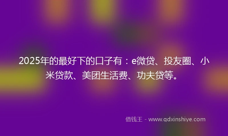 2025年的最好下的口子有：e微贷、投友圈、小米贷款、美团生活费、功夫贷等。