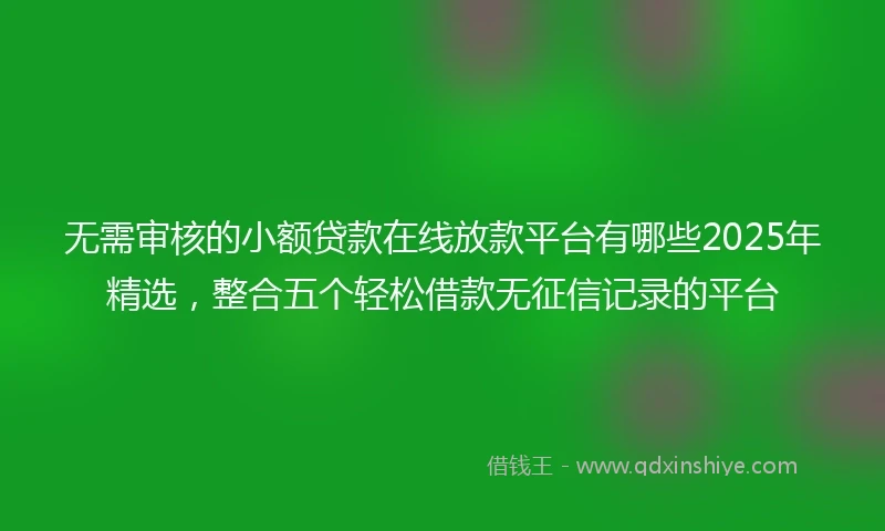 无需审核的小额贷款在线放款平台有哪些2025年精选，整合五个轻松借款无征信记录的平台