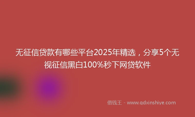 无征信贷款有哪些平台2025年精选，分享5个无视征信黑白100%秒下网贷软件