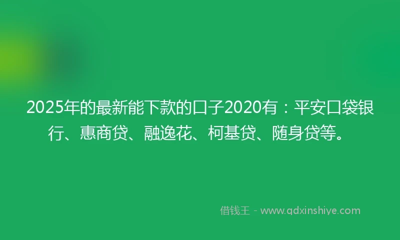 2025年的最新能下款的口子2020有：平安口袋银行、惠商贷、融逸花、柯基贷、随身贷等。