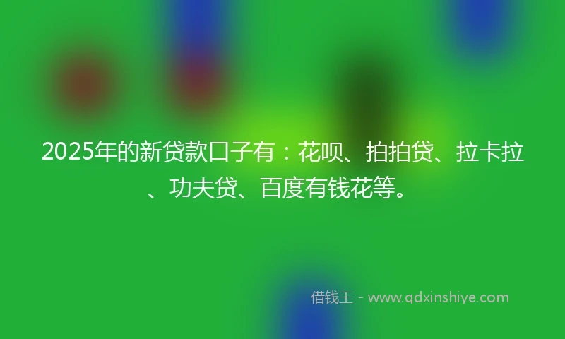 2025年的新贷款口子有：花呗、拍拍贷、拉卡拉、功夫贷、百度有钱花等。