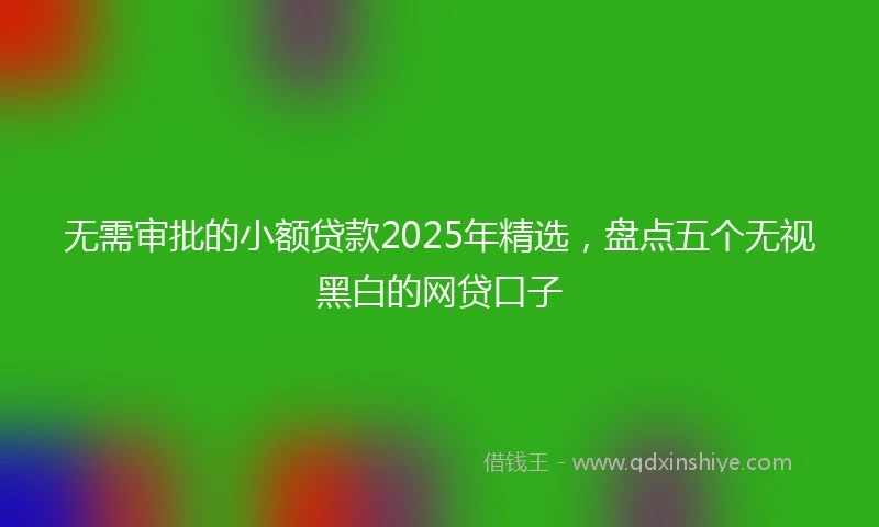 无需审批的小额贷款2025年精选，盘点五个无视黑白的网贷口子
