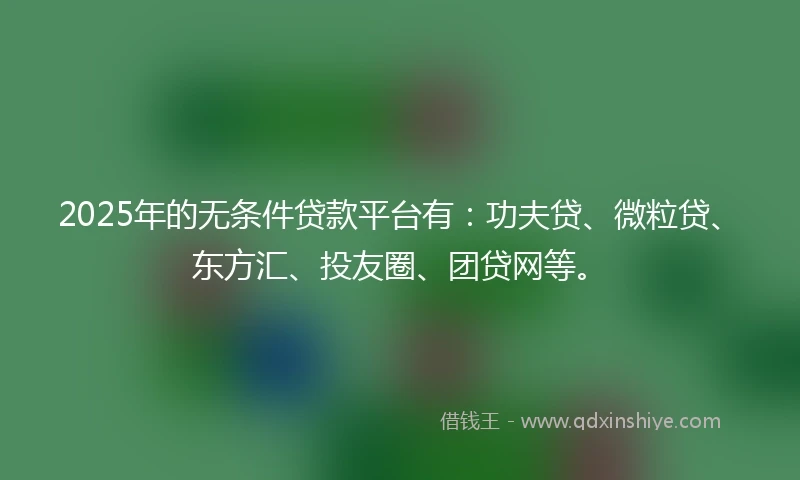2025年的无条件贷款平台有：功夫贷、微粒贷、东方汇、投友圈、团贷网等。