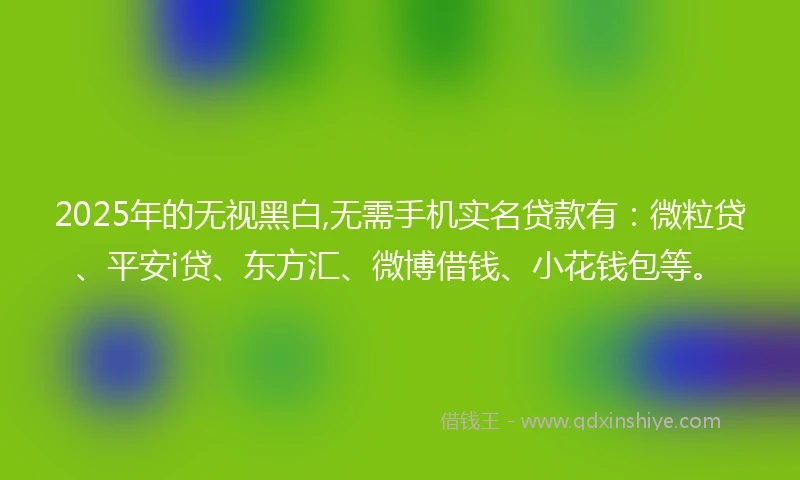 2025年的无视黑白,无需手机实名贷款有：微粒贷、平安i贷、东方汇、微博借钱、小花钱包等。