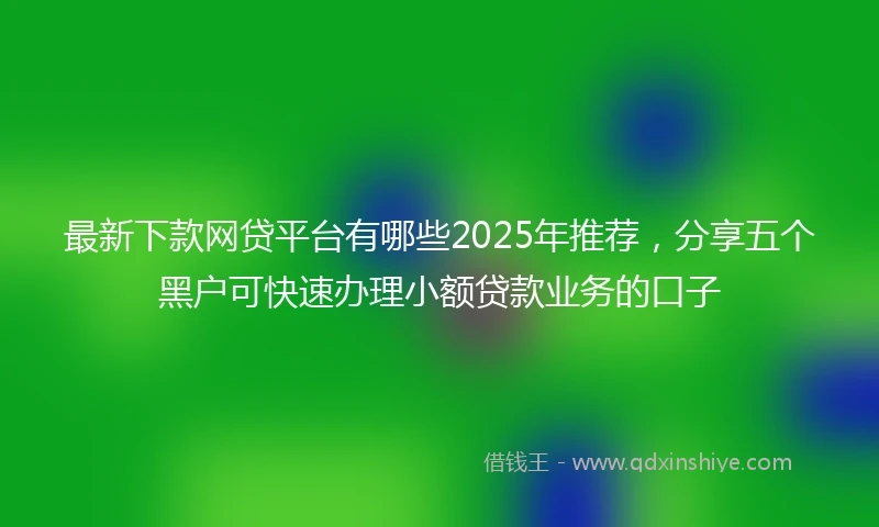 最新下款网贷平台有哪些2025年推荐,分享五个黑户可快速办理小额贷款业务的口子