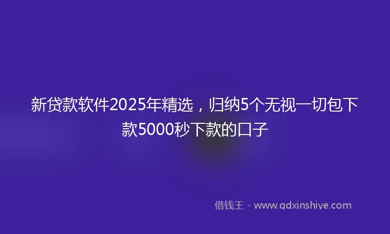 新贷款软件2025年精选，归纳5个无视一切包下款5000秒下款的口子