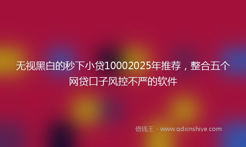 无视黑白的秒下小贷10002025年推荐，整合五个网贷口子风控不严的软件