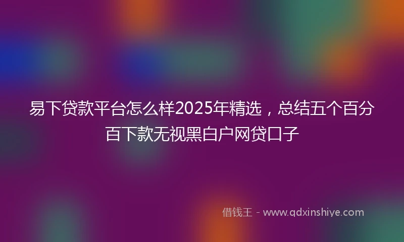易下贷款平台怎么样2025年精选，总结五个百分百下款无视黑白户网贷口子