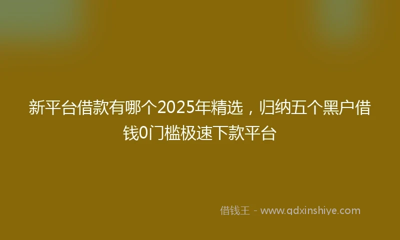 新平台借款有哪个2025年精选，归纳五个黑户借钱0门槛极速下款平台