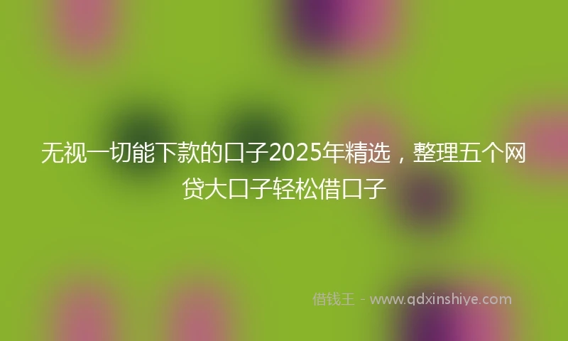 无视一切能下款的口子2025年精选，整理五个网贷大口子轻松借口子