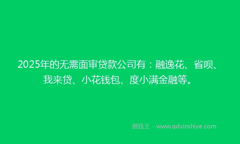 2025年的无需面审贷款公司有：融逸花、省呗、我来贷、小花钱包、度小满金融等。