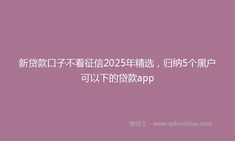 新贷款口子不看征信2025年精选，归纳5个黑户可以下的贷款app