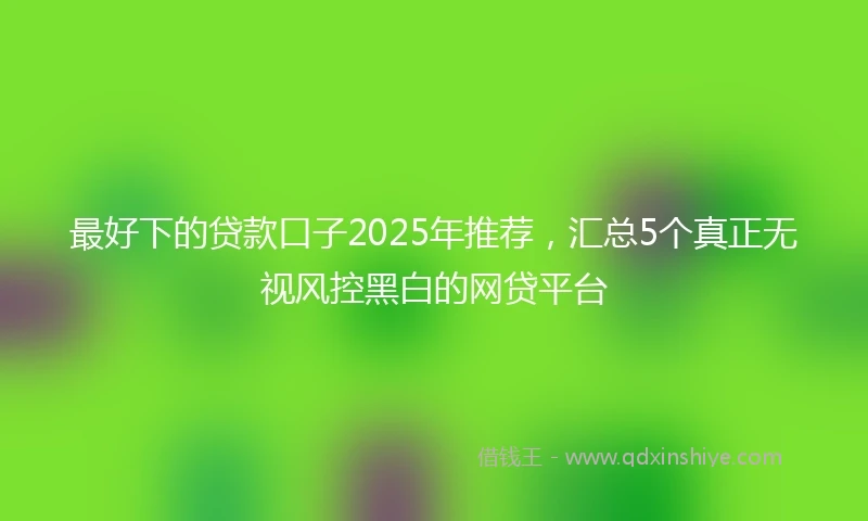 最好下的贷款口子2025年推荐,汇总5个真正无视风控黑白的网贷平台