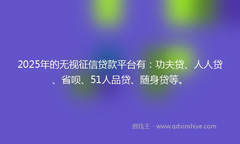 2025年的无视征信贷款平台有：功夫贷、人人贷、省呗、51人品贷、随身贷等。