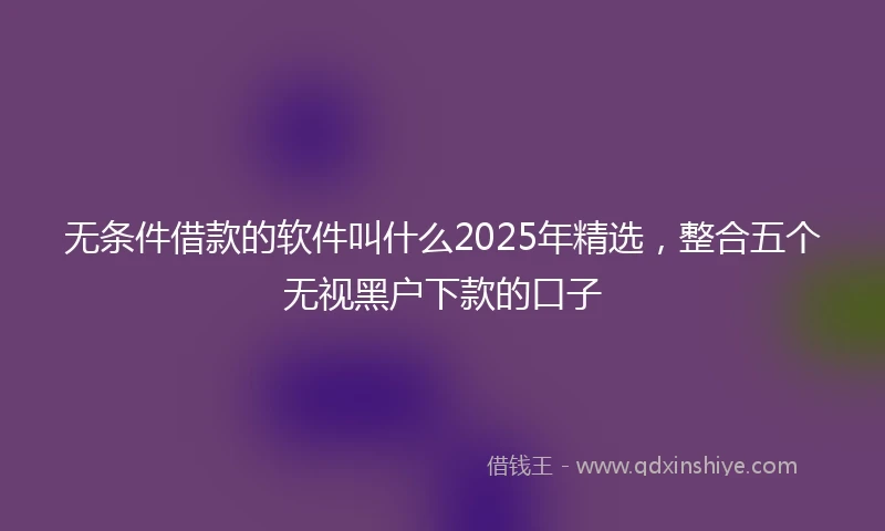 无条件借款的软件叫什么2025年精选，整合五个无视黑户下款的口子