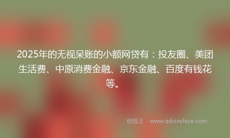 2025年的无视呆账的小额网贷有：投友圈、美团生活费、中原消费金融、京东金融、百度有钱花等。