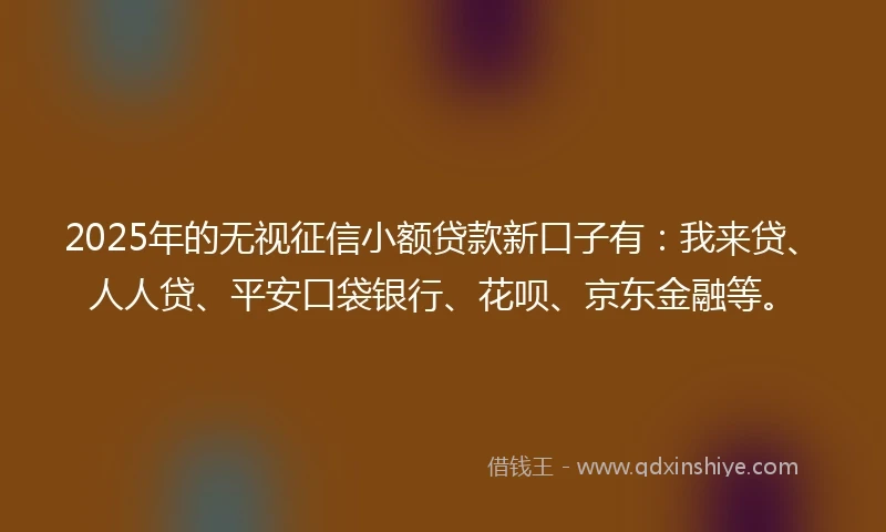 2025年的无视征信小额贷款新口子有：我来贷、人人贷、平安口袋银行、花呗、京东金融等。