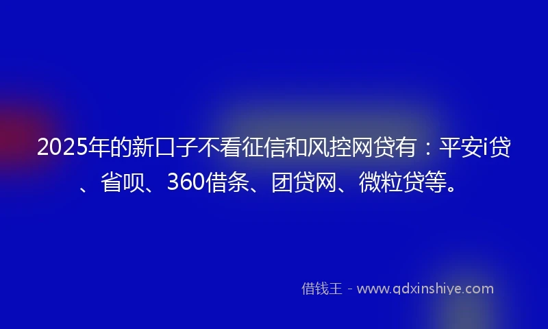 2025年的新口子不看征信和风控网贷有：平安i贷、省呗、360借条、团贷网、微粒贷等。
