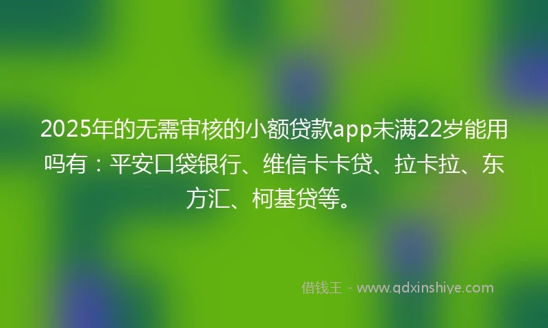 2025年的无需审核的小额贷款app未满22岁能用吗有：平安口袋银行、维信卡卡贷、拉卡拉、东方汇、柯基贷等。