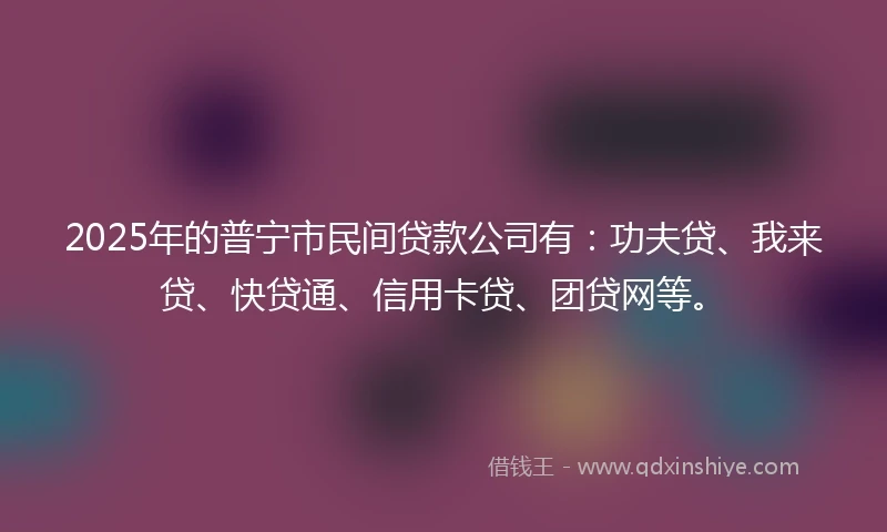 2025年的普宁市民间贷款公司有：功夫贷、我来贷、快贷通、信用卡贷、团贷网等。