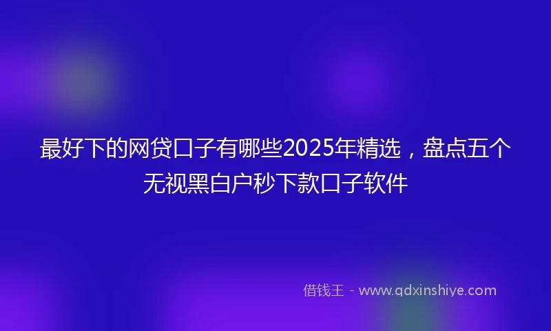 最好下的网贷口子有哪些2025年精选，盘点五个无视黑白户秒下款口子软件