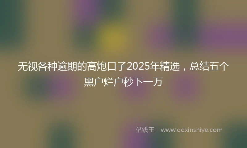 无视各种逾期的高炮口子2025年精选，总结五个黑户烂户秒下一万