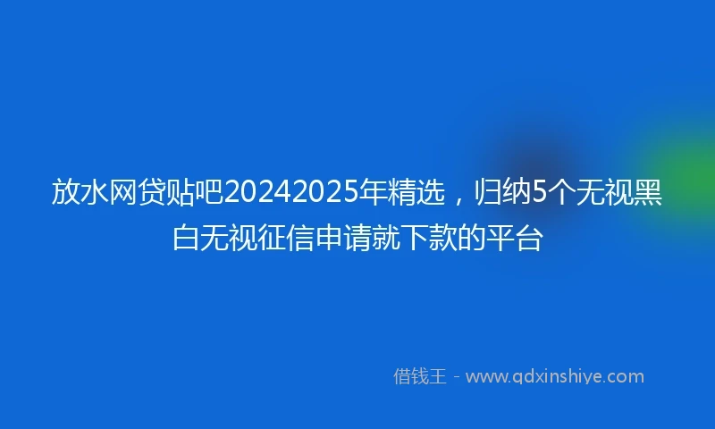 放水网贷贴吧20242025年精选，归纳5个无视黑白无视征信申请就下款的平台