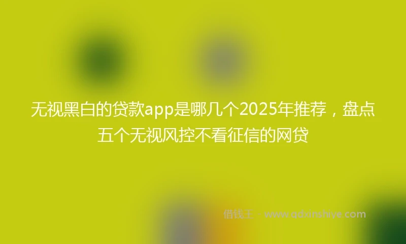 无视黑白的贷款app是哪几个2025年推荐,盘点五个无视风控不看征信的网贷