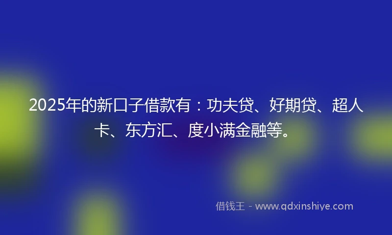 2025年的新口子借款有：功夫贷、好期贷、超人卡、东方汇、度小满金融等。