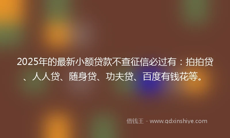 2025年的最新小额贷款不查征信必过有：拍拍贷、人人贷、随身贷、功夫贷、百度有钱花等。