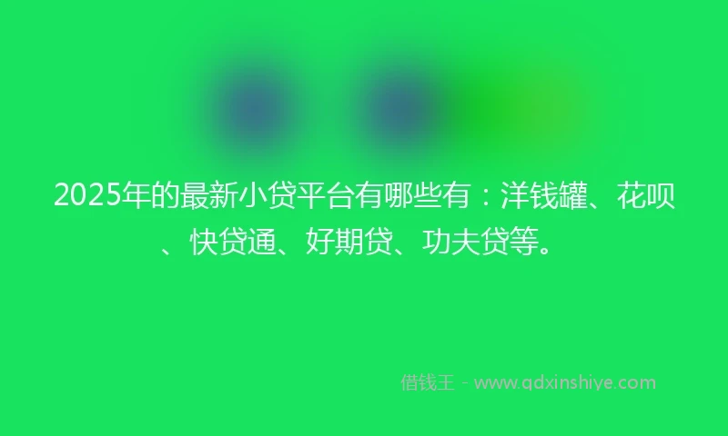 2025年的最新小贷平台有哪些有：洋钱罐、花呗、快贷通、好期贷、功夫贷等。