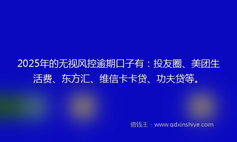2025年的无视风控逾期口子有：投友圈、美团生活费、东方汇、维信卡卡贷、功夫贷等。