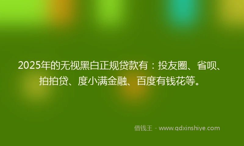 2025年的无视黑白正规贷款有：投友圈、省呗、拍拍贷、度小满金融、百度有钱花等。