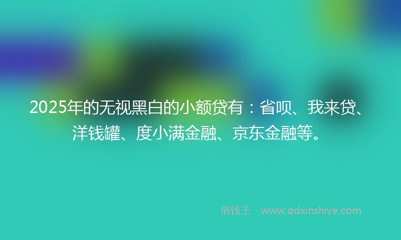 2025年的无视黑白的小额贷有：省呗、我来贷、洋钱罐、度小满金融、京东金融等。