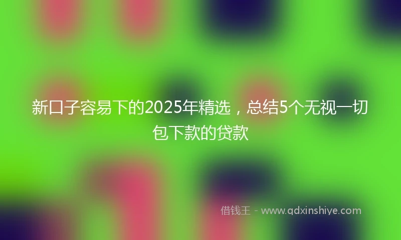 新口子容易下的2025年精选，总结5个无视一切包下款的贷款