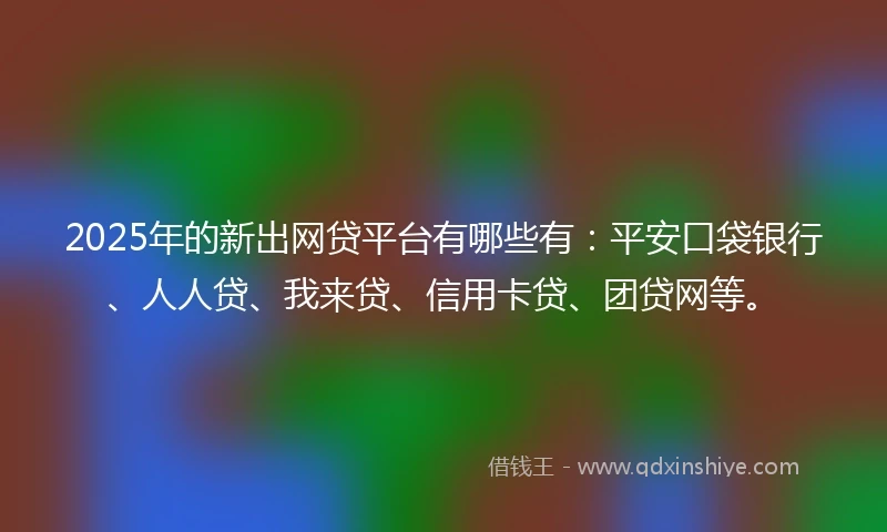 2025年的新出网贷平台有哪些有：平安口袋银行、人人贷、我来贷、信用卡贷、团贷网等。