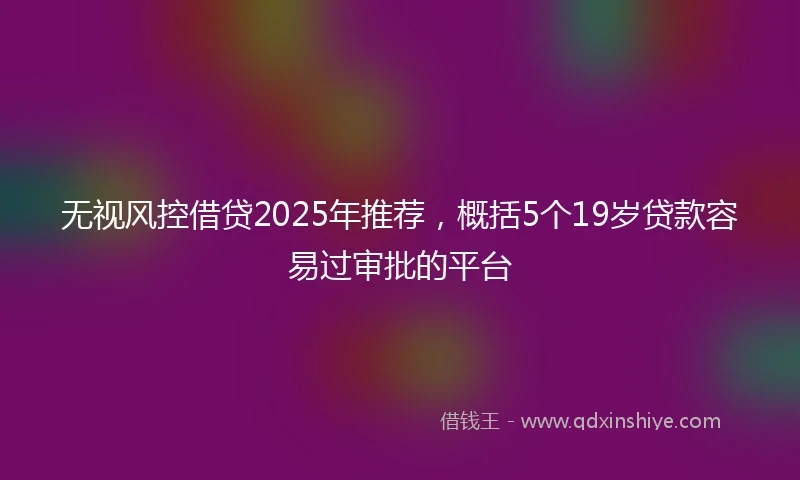 无视风控借贷2025年推荐,概括5个19岁贷款容易过审批的平台
