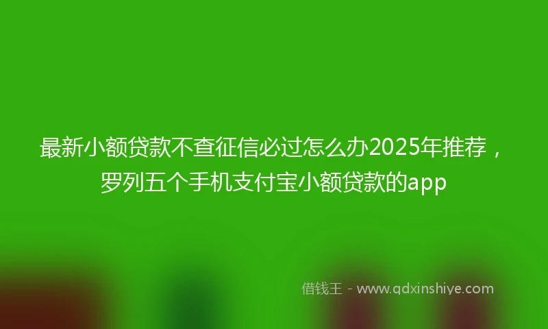 最新小额贷款不查征信必过怎么办2025年推荐，罗列五个手机支付宝小额贷款的app