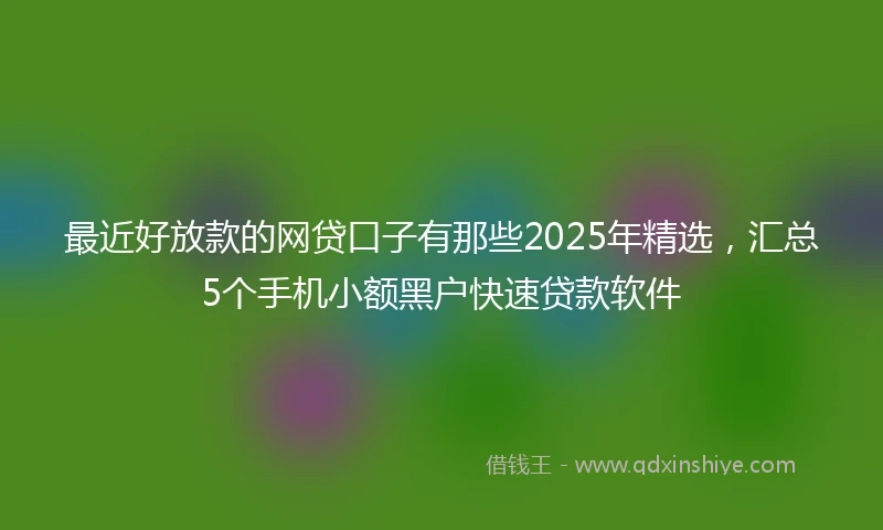 最近好放款的网贷口子有那些2025年精选，汇总5个手机小额黑户快速贷款软件