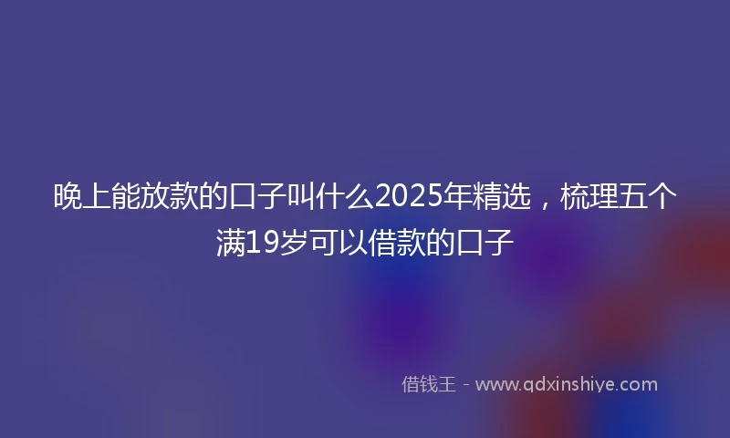 晚上能放款的口子叫什么2025年精选，梳理五个满19岁可以借款的口子