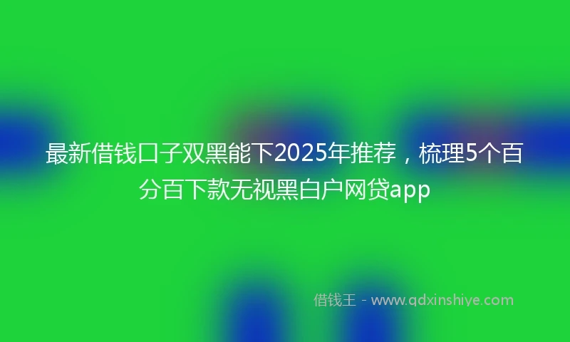 最新借钱口子双黑能下2025年推荐，梳理5个百分百下款无视黑白户网贷app