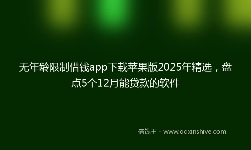 无年龄限制借钱app下载苹果版2025年精选，盘点5个12月能贷款的软件