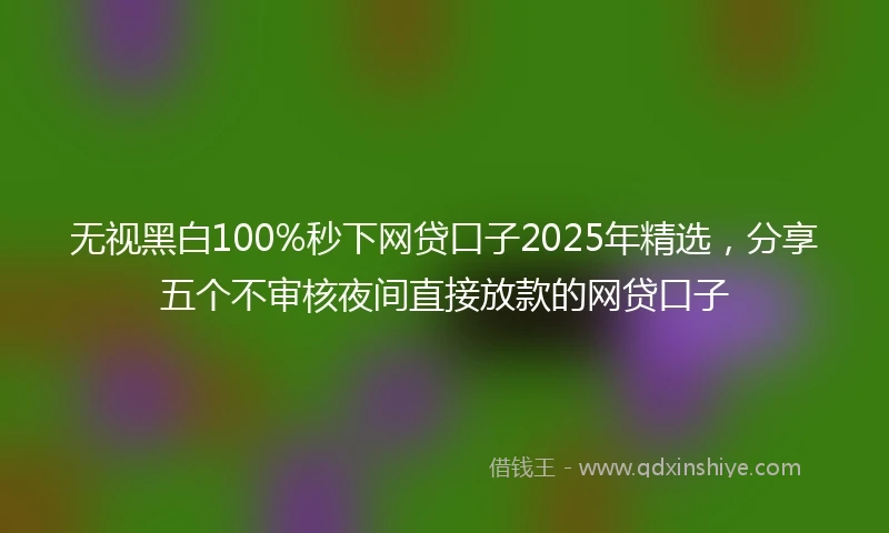 无视黑白100%秒下网贷口子2025年精选，分享五个不审核夜间直接放款的网贷口子