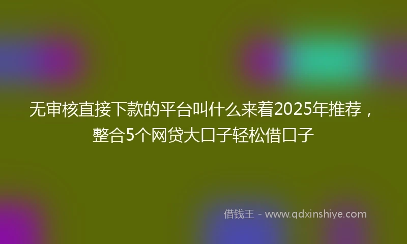 无审核直接下款的平台叫什么来着2025年推荐，整合5个网贷大口子轻松借口子